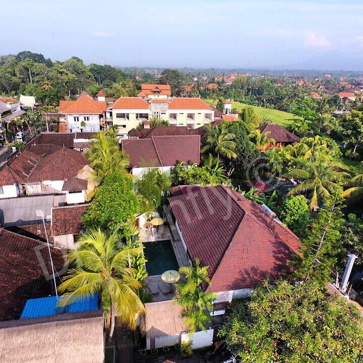 The Royal Palm Villa Ubud Kültér fotó